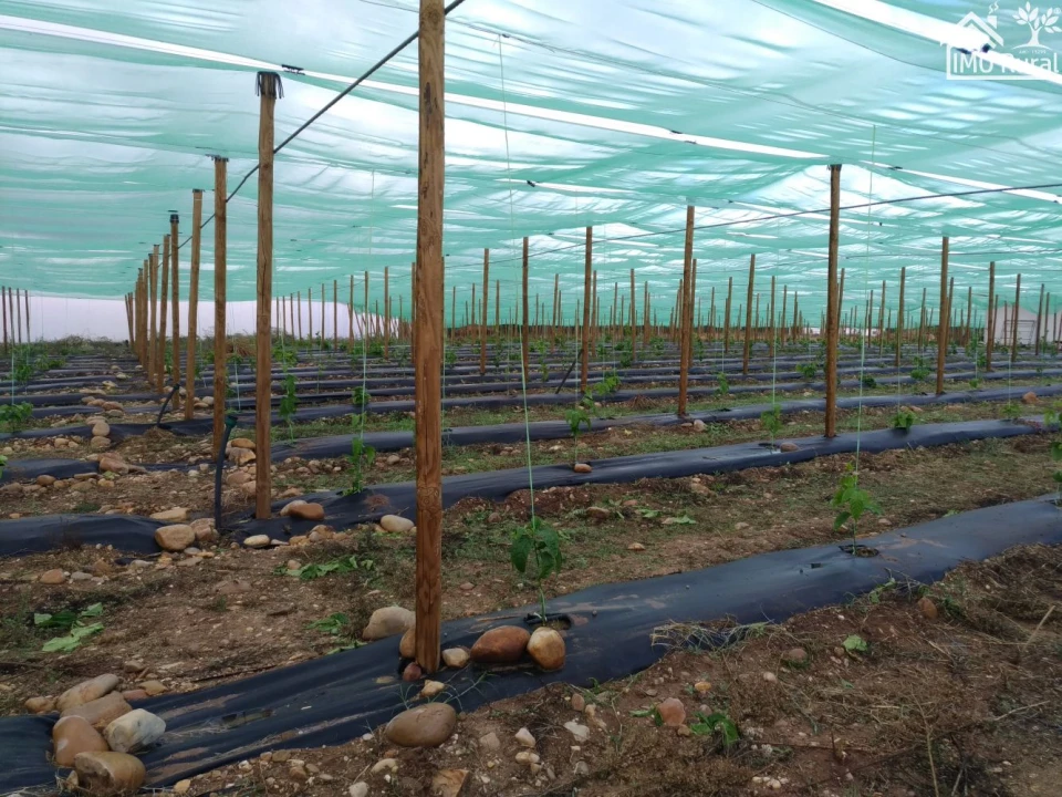 Quinta T0 para Venda em Abrantes (São Vicente e São João) e Alferrarede Foto 14