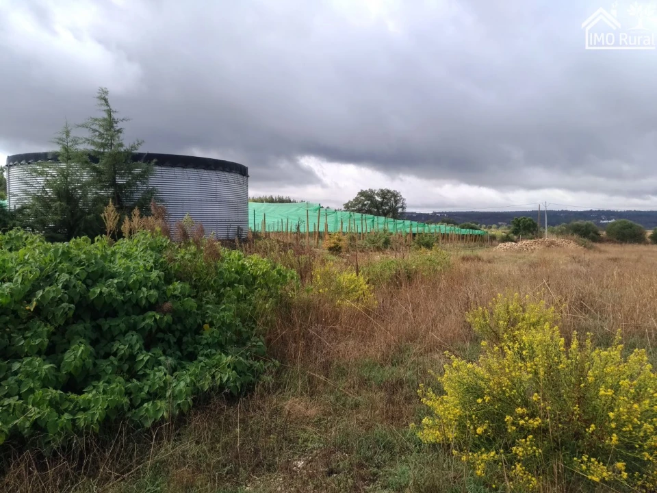 Quinta T0 para Venda em Abrantes (São Vicente e São João) e Alferrarede Foto 19