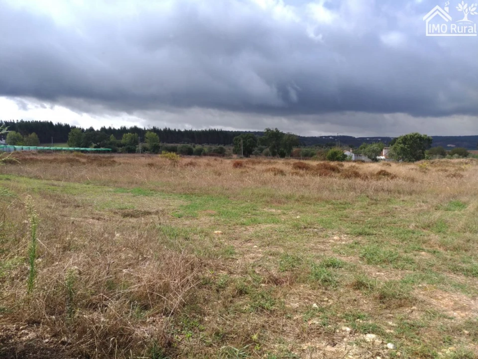Quinta T0 para Venda em Abrantes (São Vicente e São João) e Alferrarede Foto 25
