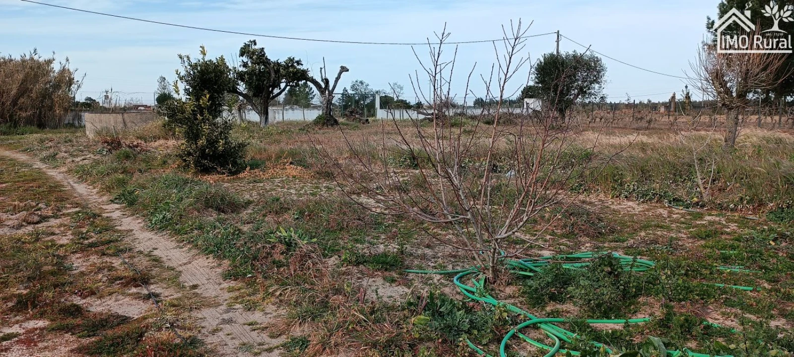 Moradia T3 para Venda em Alpiarça Foto 41