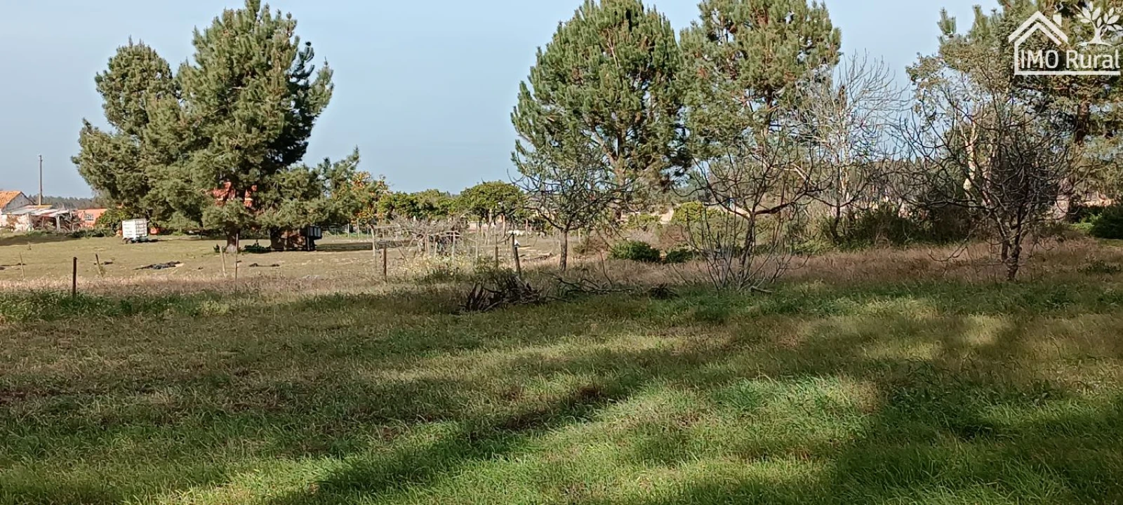Moradia T3 para Venda em Alpiarça Foto 51