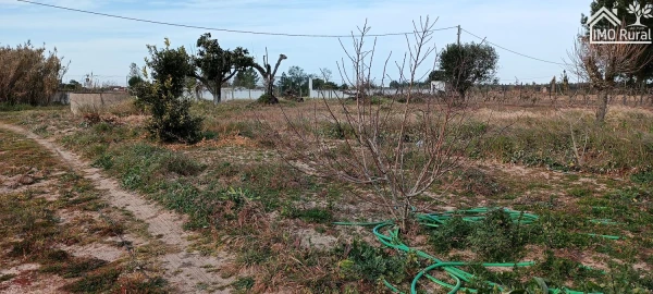 Moradia T3 para Venda em Alpiarça