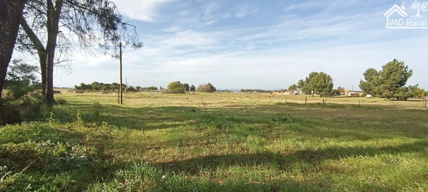 Moradia T3 para Venda em Alpiarça
