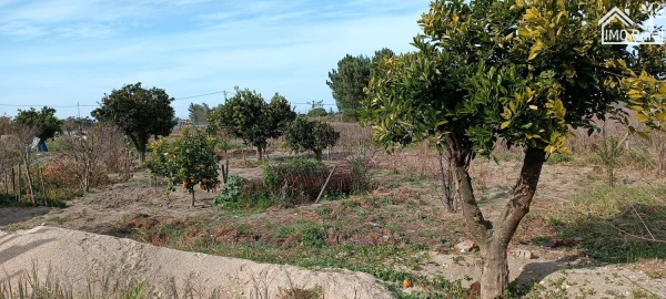 Moradia T3 para Venda em Alpiarça