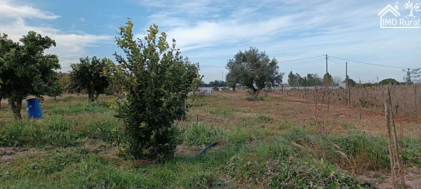 Moradia T3 para Venda em Alpiarça