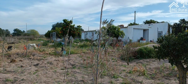 Moradia T3 para Venda em Alpiarça