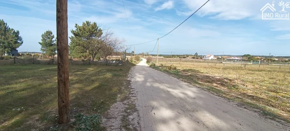 Moradia T3 para Venda em Alpiarça