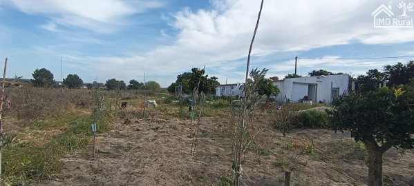 Moradia T3 para Venda em Alpiarça