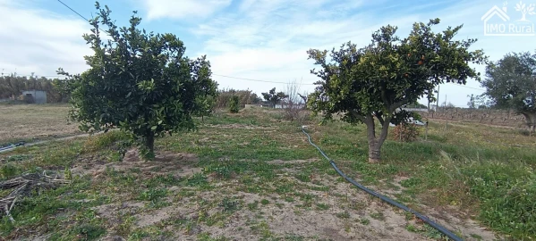 Moradia T3 para Venda em Alpiarça