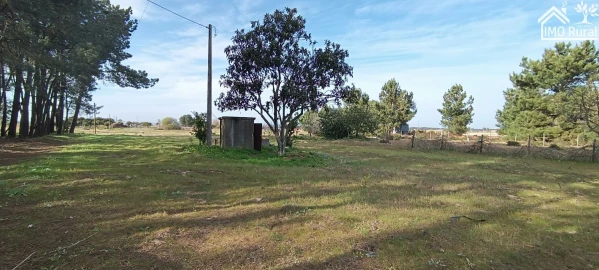 Moradia T3 para Venda em Alpiarça