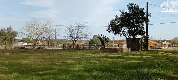Moradia T3 para Venda em Alpiarça