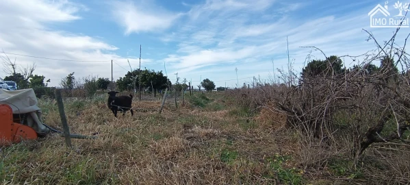 Moradia T3 para Venda em Alpiarça