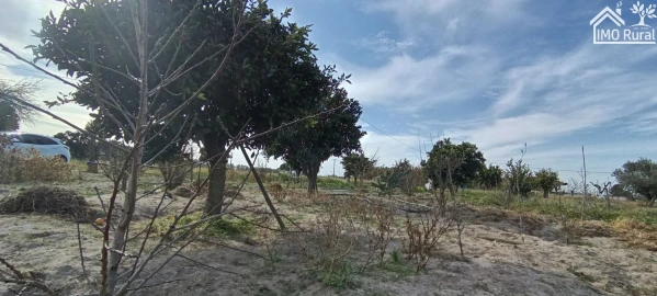Moradia T3 para Venda em Alpiarça
