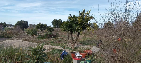 Moradia T3 para Venda em Alpiarça
