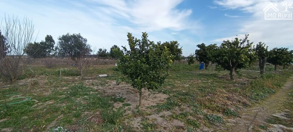 Moradia T3 para Venda em Alpiarça