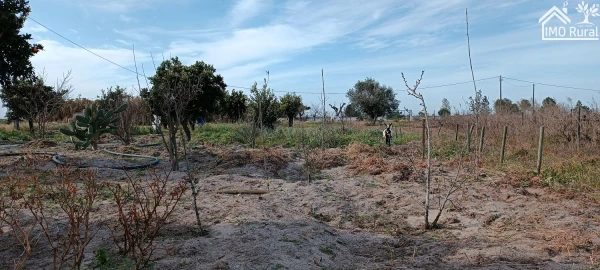 Moradia T3 para Venda em Alpiarça