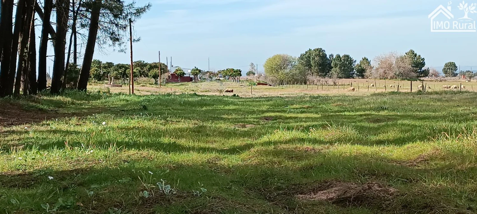 Moradia T3 para Venda em Alpiarça Foto 47