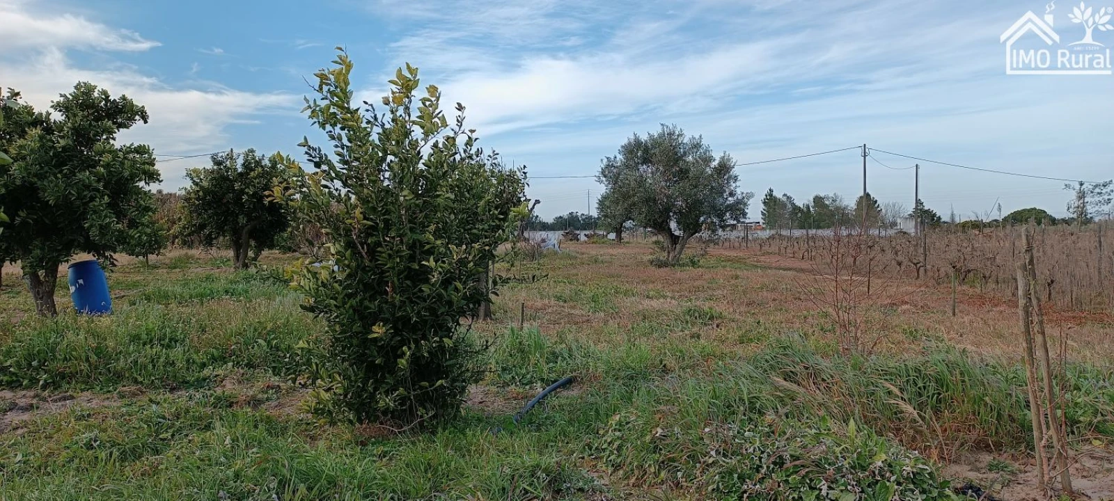 Moradia T3 para Venda em Alpiarça Foto 1