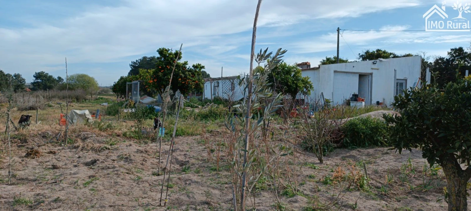 Moradia T3 para Venda em Alpiarça Foto 3