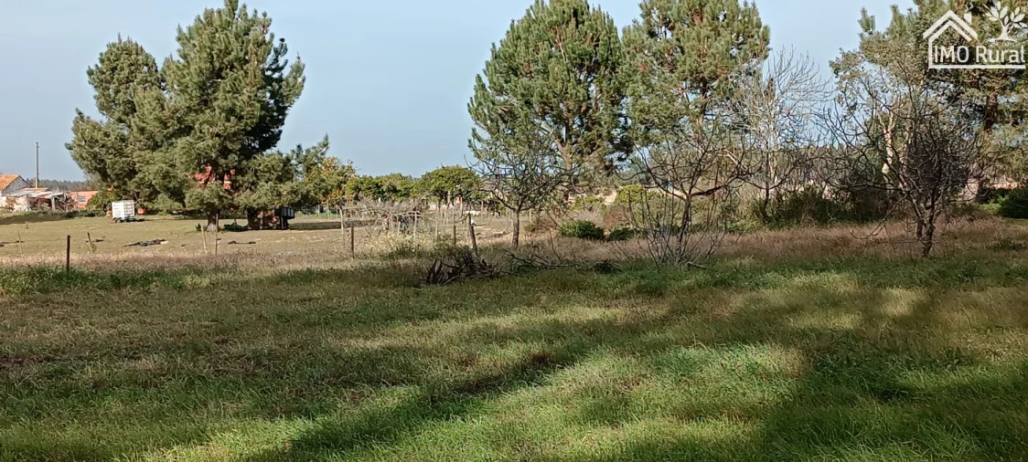 Moradia T3 para Venda em Alpiarça Foto 51
