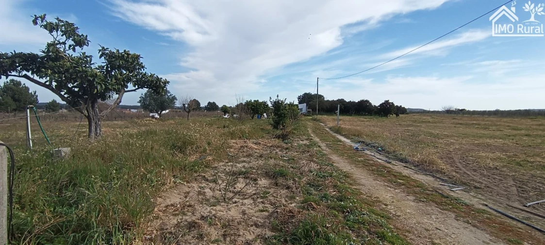 Moradia T3 para Venda em Alpiarça Foto 44