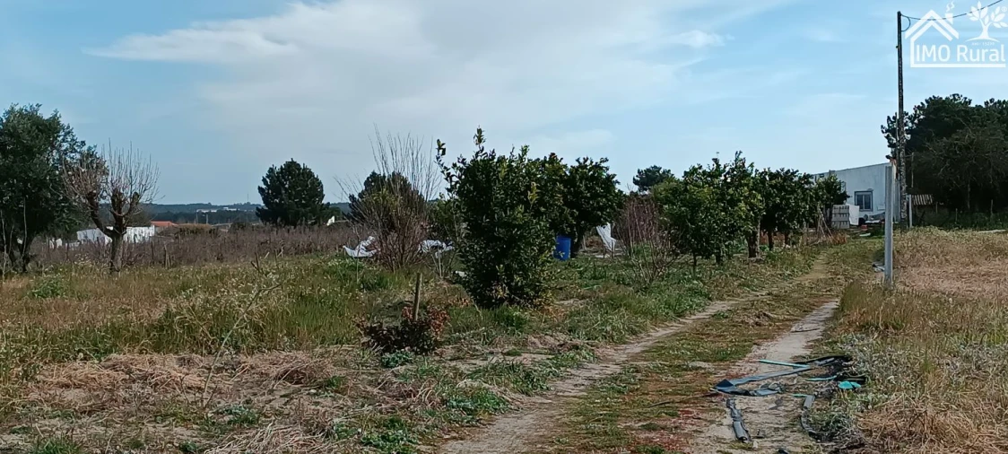Moradia T3 para Venda em Alpiarça Foto 43