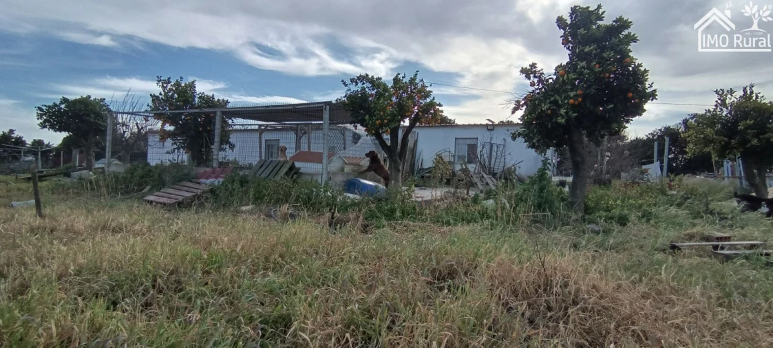 Moradia T3 para Venda em Alpiarça Foto 2