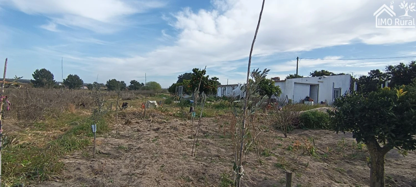 Moradia T3 para Venda em Alpiarça Foto 4