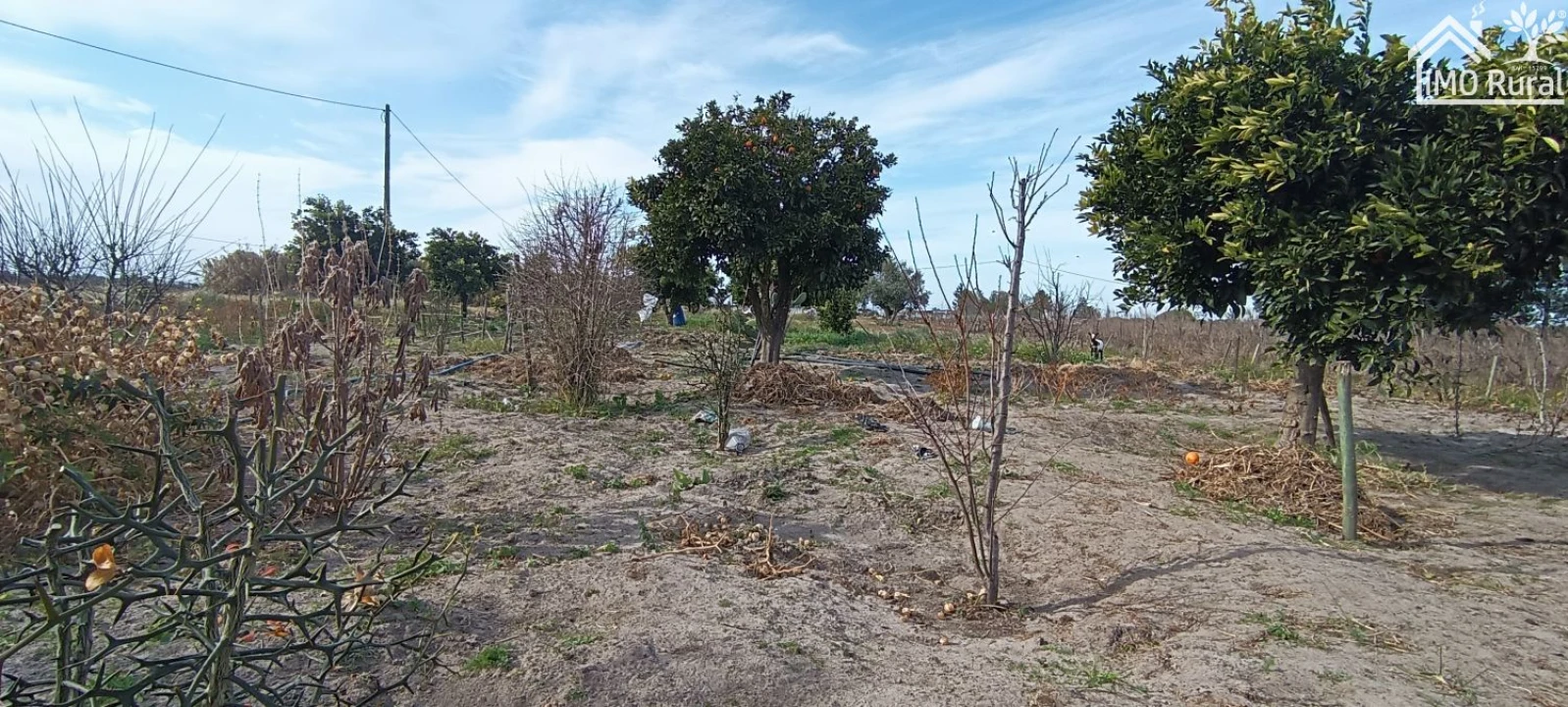 Moradia T3 para Venda em Alpiarça Foto 7