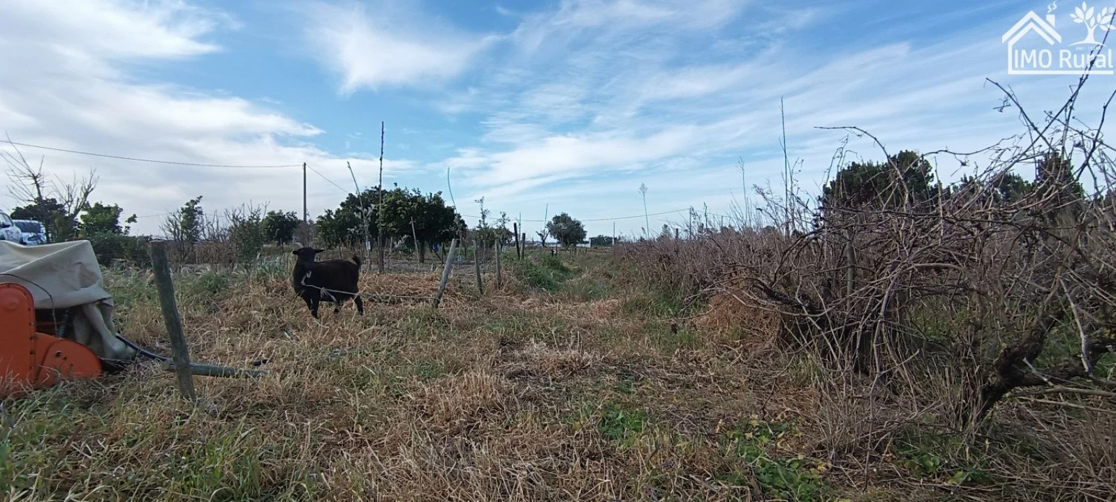 Moradia T3 para Venda em Alpiarça Foto 37