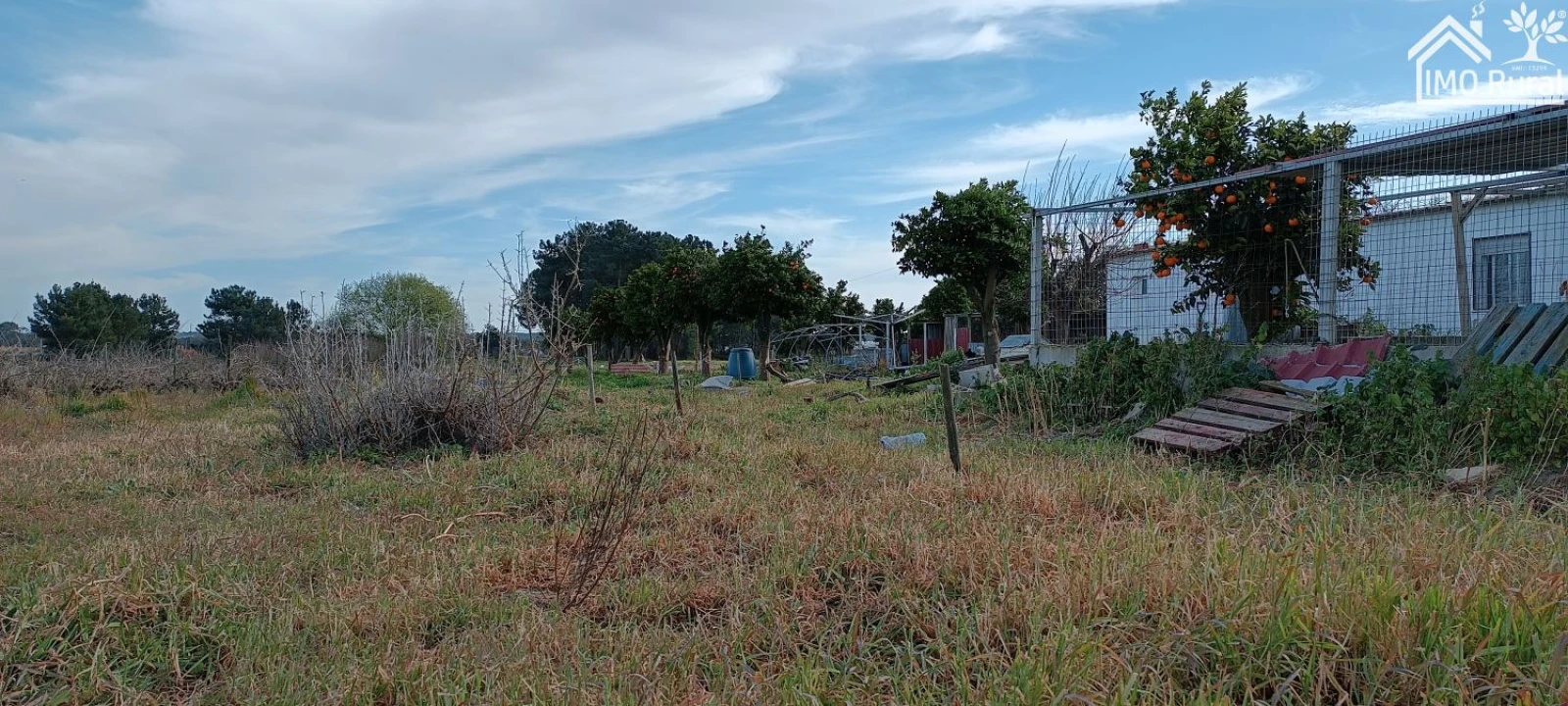Moradia T3 para Venda em Alpiarça Foto 36