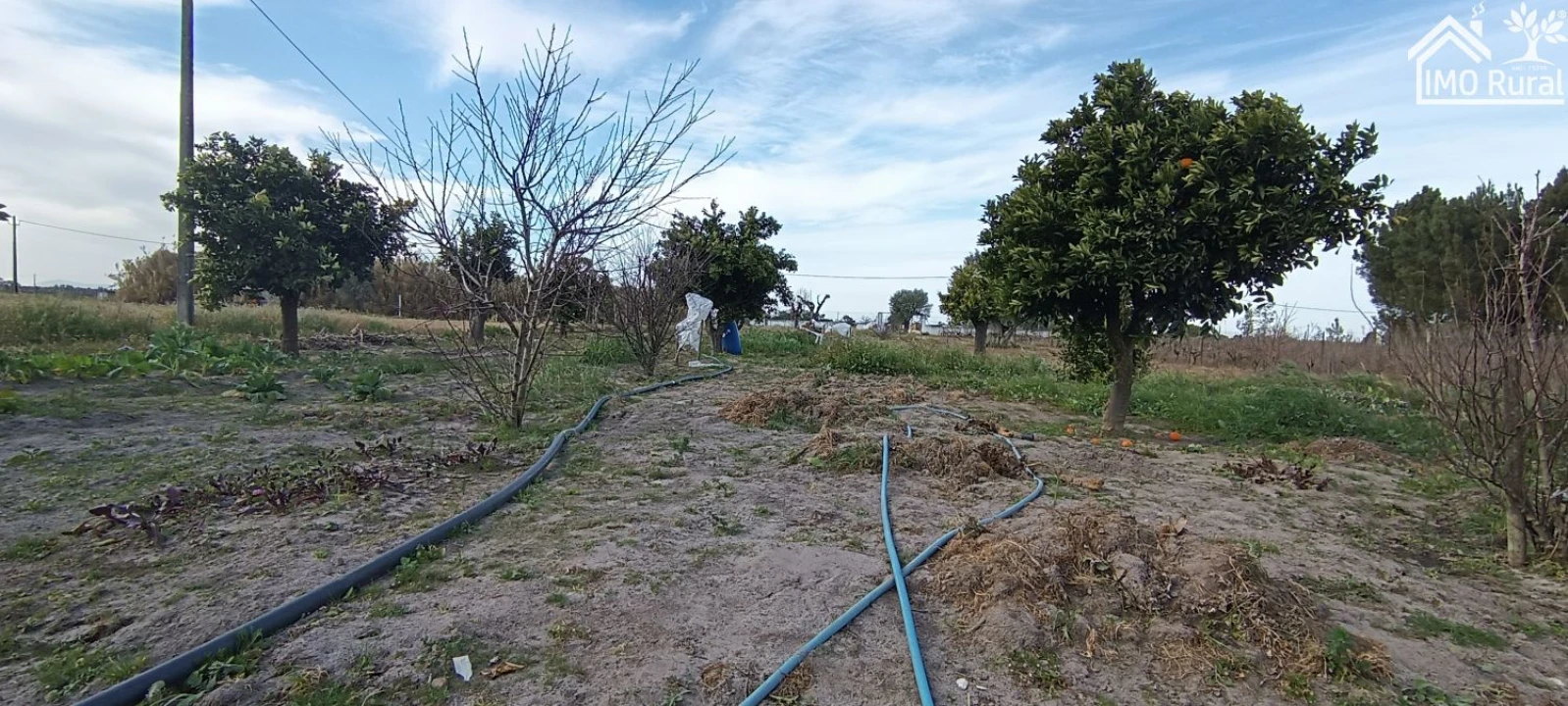 Moradia T3 para Venda em Alpiarça Foto 38