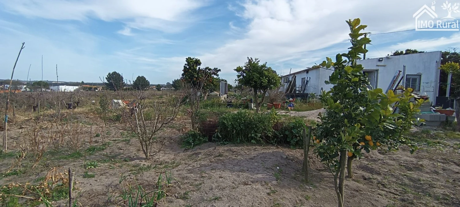 Moradia T3 para Venda em Alpiarça Foto 12