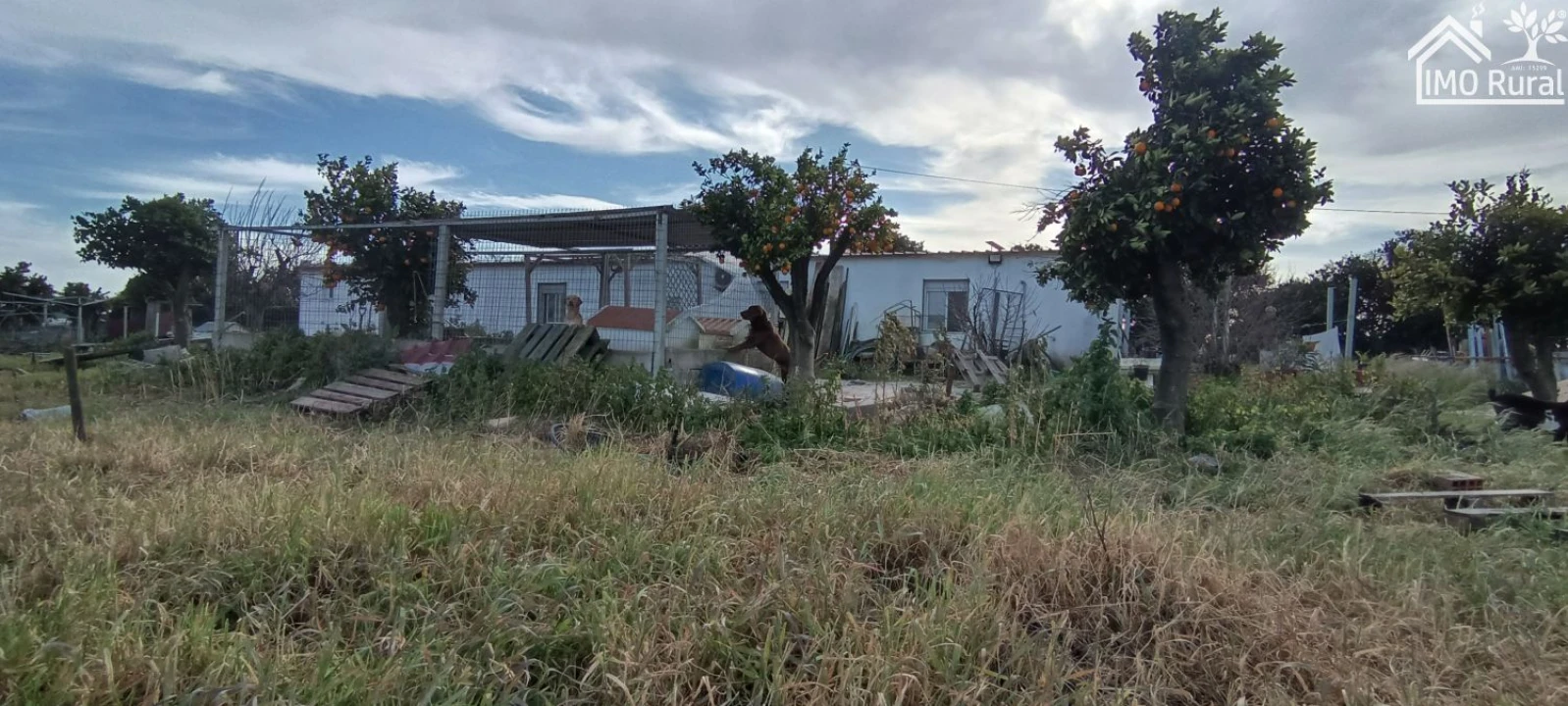 Moradia T3 para Venda em Alpiarça Foto 2
