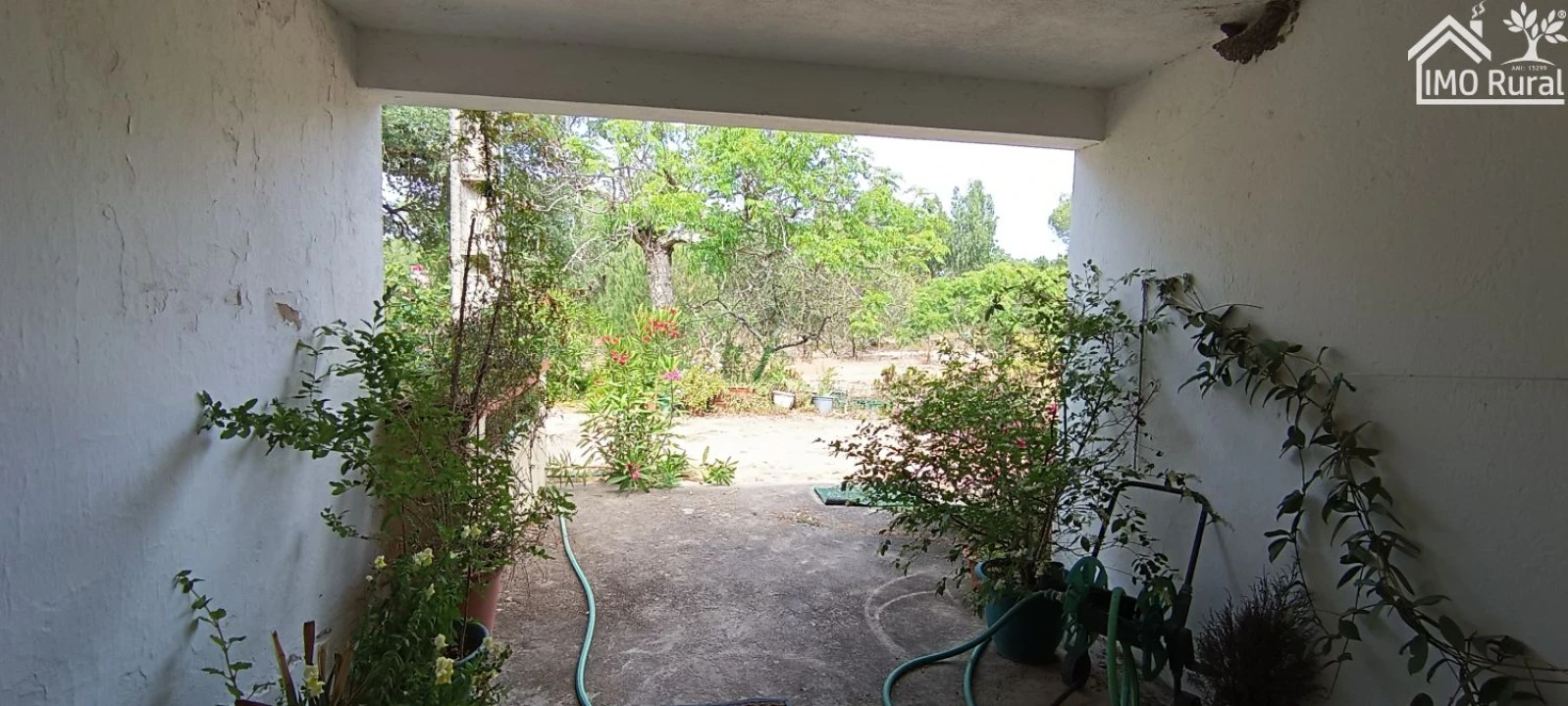 Terreno para Venda em São Jose da Lamarosa Foto 53