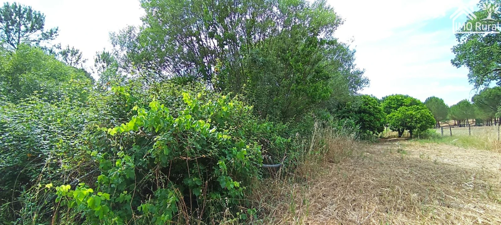 Terreno para Venda em São Jose da Lamarosa Foto 51