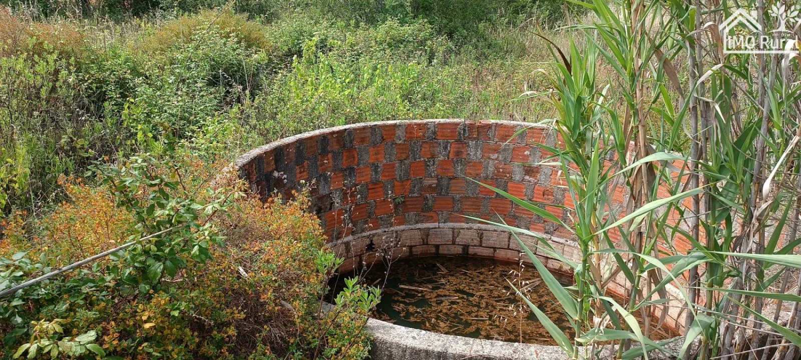 Terreno para Venda em São Jose da Lamarosa Foto 10