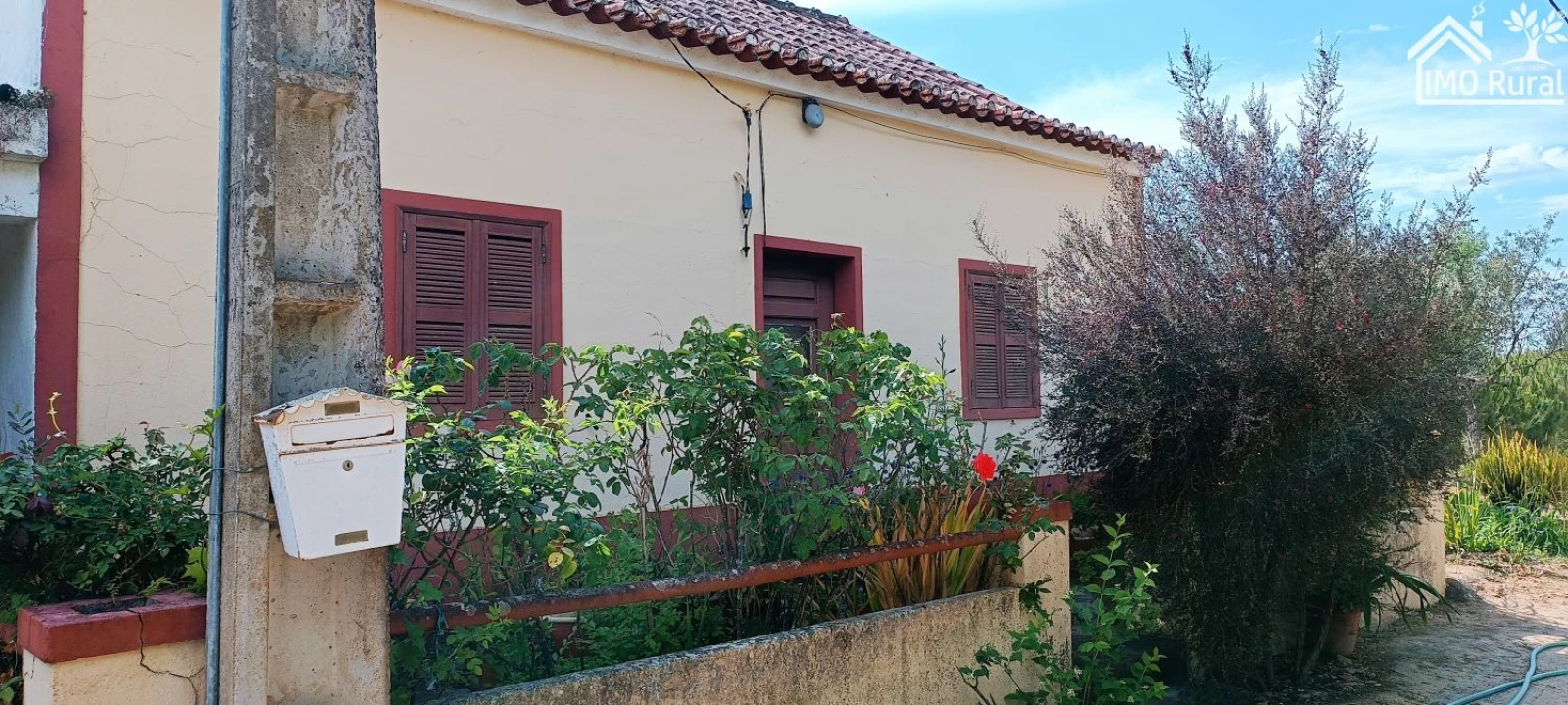 Terreno para Venda em São Jose da Lamarosa Foto 6