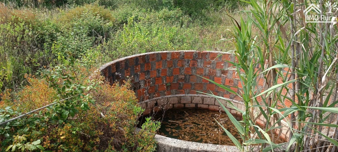 Terreno para Venda em São Jose da Lamarosa Foto 10