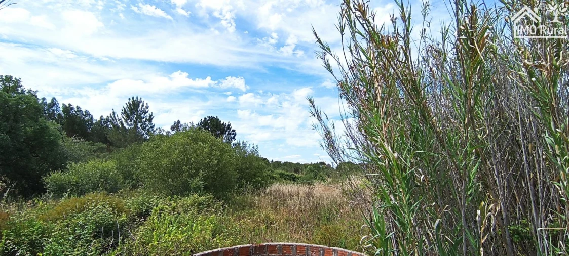 Terreno para Venda em São Jose da Lamarosa Foto 16