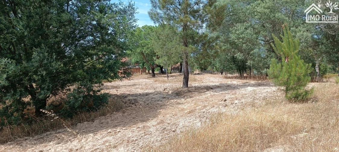 Terreno para Venda em São Jose da Lamarosa Foto 44
