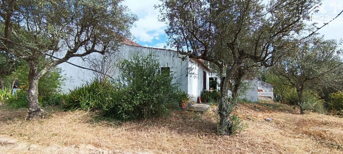 Terreno para Venda em São Jose da Lamarosa Foto 56