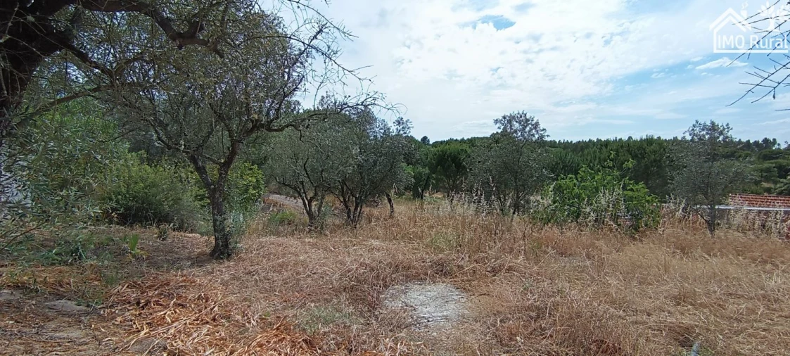 Terreno para Venda em São Jose da Lamarosa Foto 54
