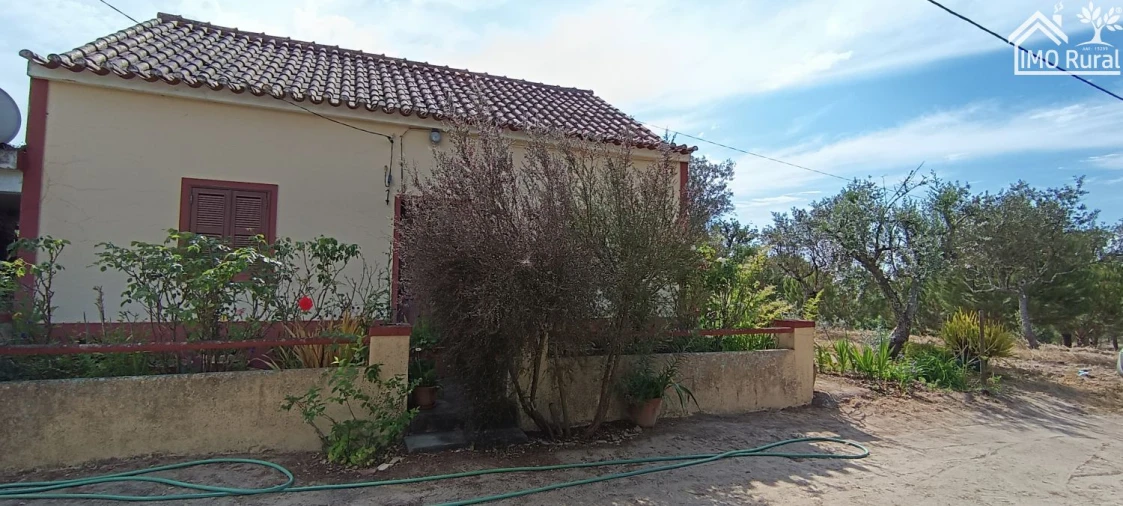 Terreno para Venda em São Jose da Lamarosa Foto 59
