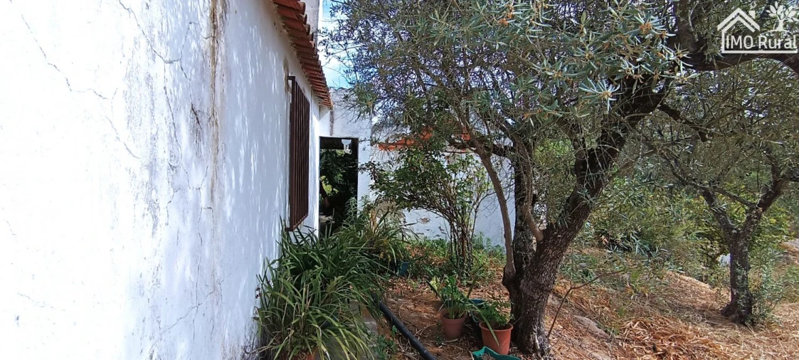 Terreno para Venda em São Jose da Lamarosa Foto 55