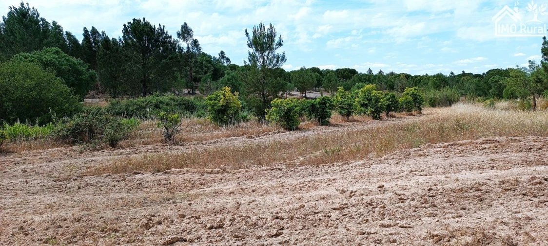 Terreno para Venda em São Jose da Lamarosa Foto 15