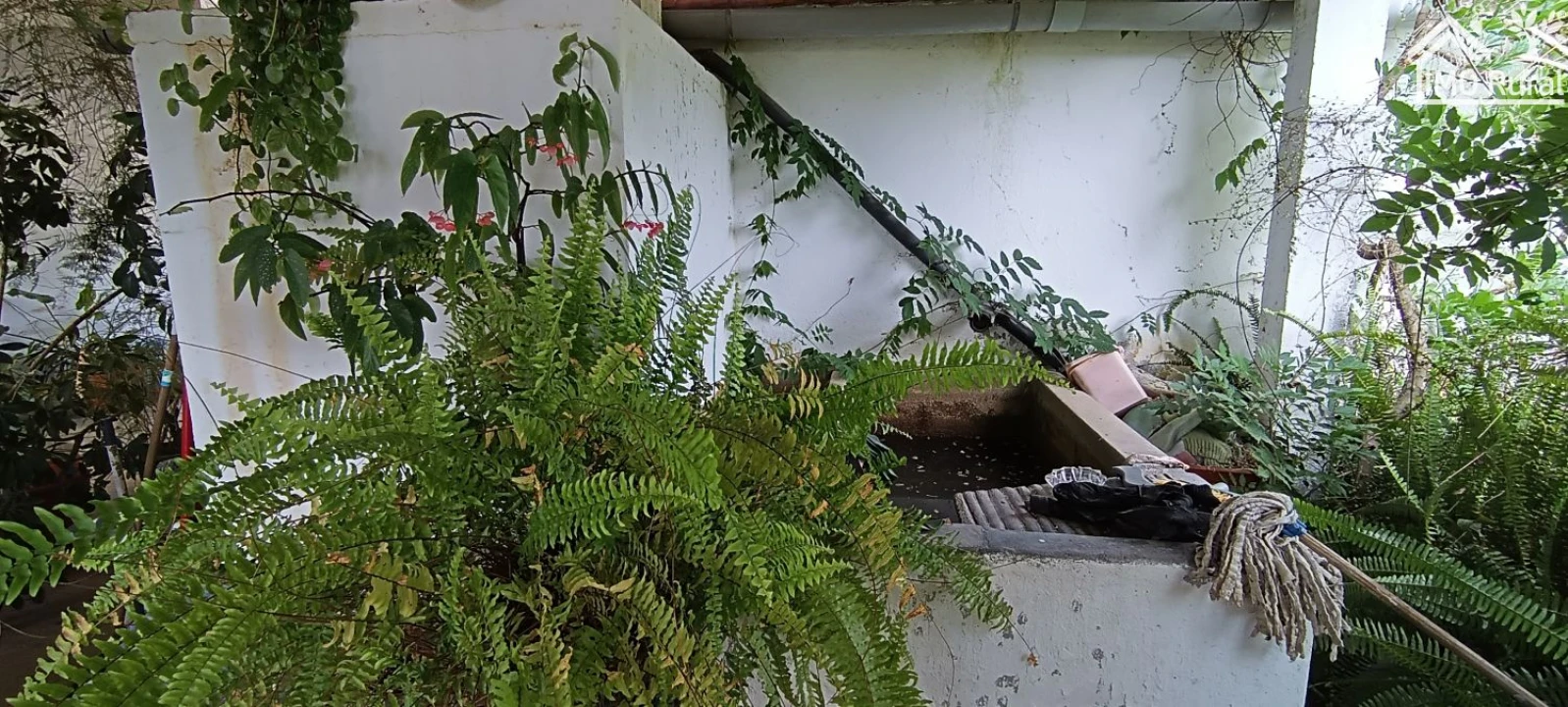 Terreno para Venda em São Jose da Lamarosa Foto 8