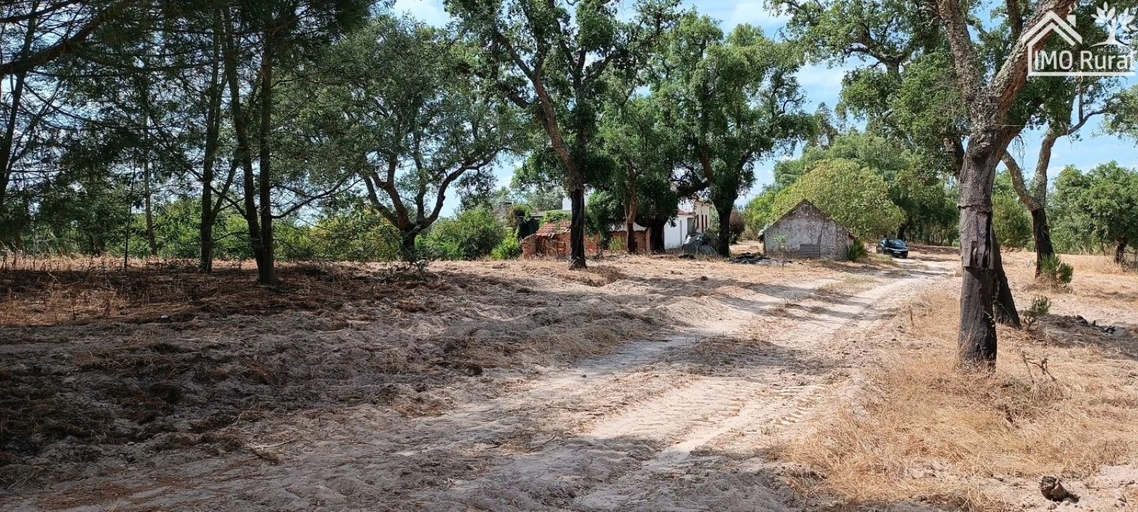 Terreno para Venda em São Jose da Lamarosa Foto 45