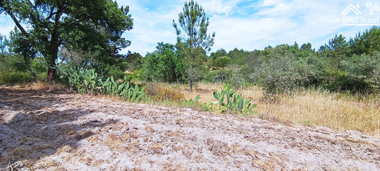 Terreno para Venda em São Jose da Lamarosa Foto 38