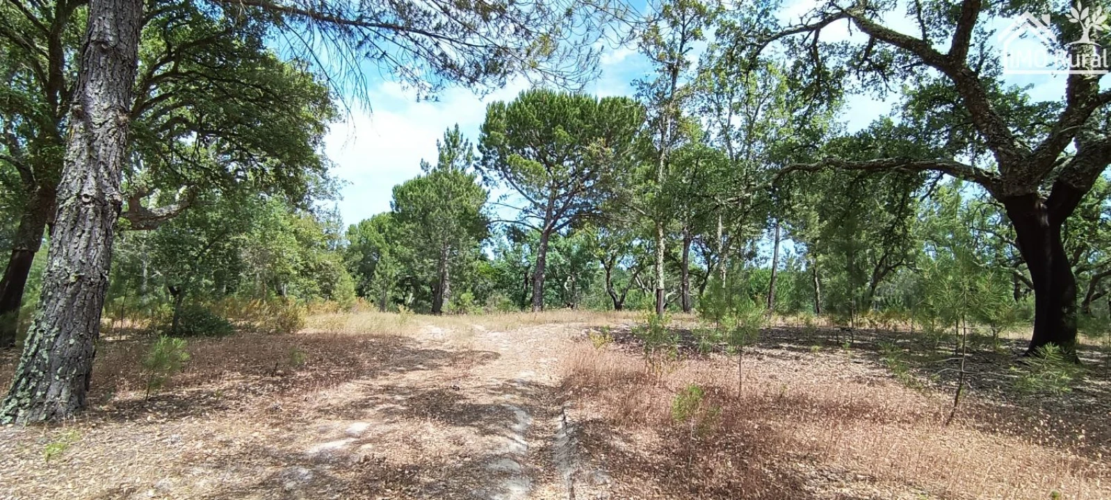 Terreno para Venda em São Jose da Lamarosa Foto 31